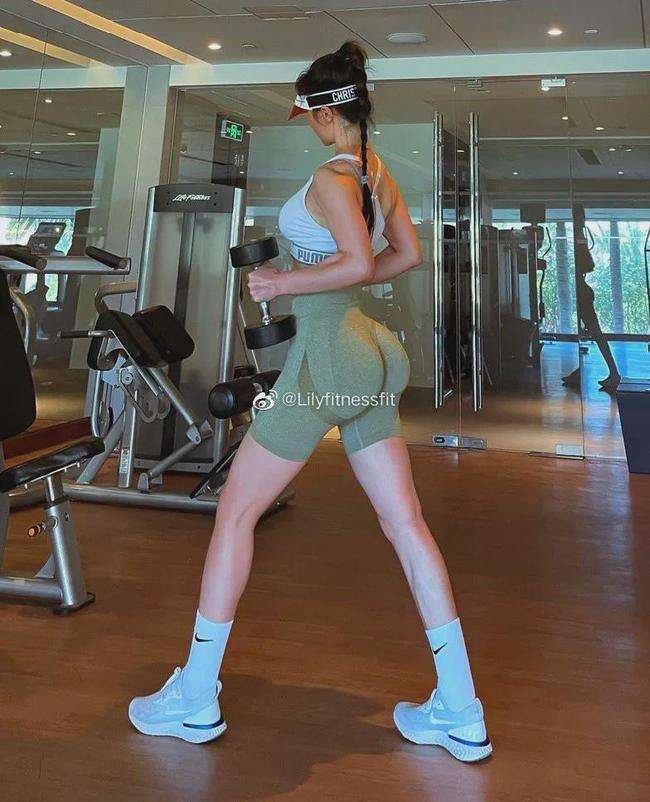 加拿大pc入口手机app下载